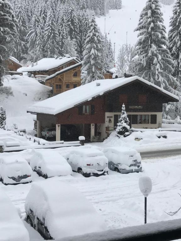 La montagne « un coin d’oxygène » 84 Route de Pré la Joux, 74390 Châtel