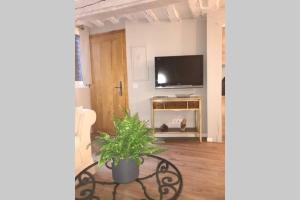 Appartement La P'tite Grise - Studio Cosy centre Honfleur 15 Rue Haute 14600 Honfleur Normandie