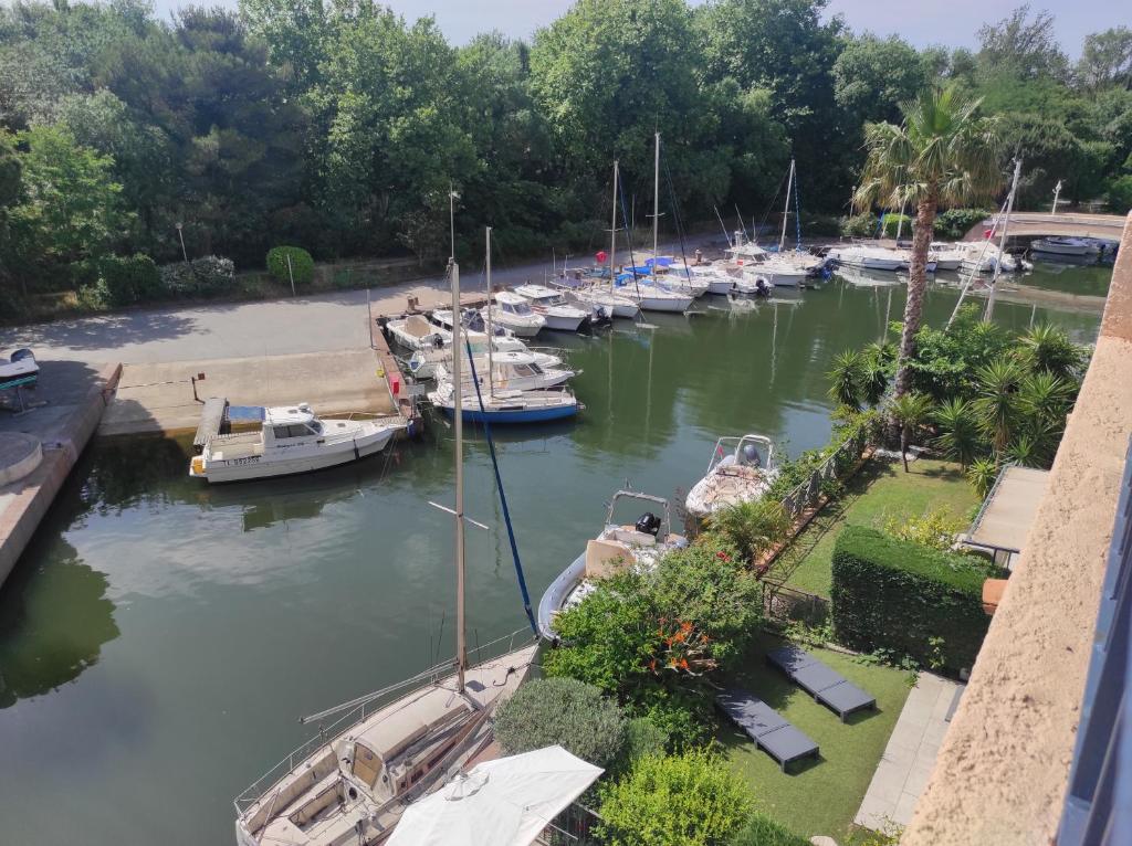 Appartement la Perle rare du golf de saint tropez Allée du Grand Port 83310 Cogolin