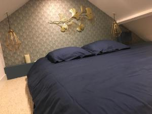 La petite Brainoise - Gîte avec salle jacuzzi 120 jets