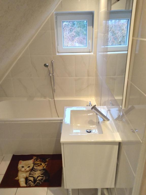 Appartement La petite maison dans la prairie 10 Rue de Hatten 67930 Kesseldorf