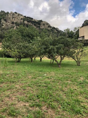 La Pommeraie