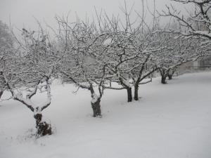 La Pommeraie