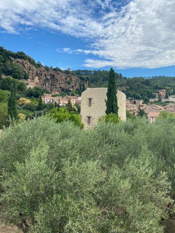 La Provence Studio 68000 Colmar