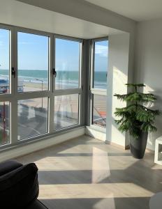 La régate Wimereux - vue mer