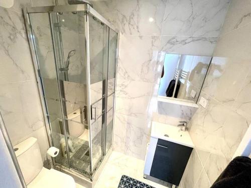 La Résidence des Célestins - Appartement Duplex N17 - Centre Vichy