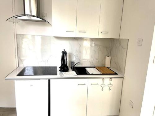 La Résidence des Célestins - Appartement Duplex N17 - Centre Vichy