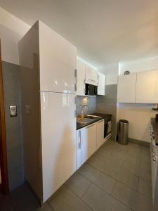 La Rose des Neiges, duplex, pied des pistes, spa et garage