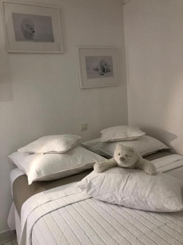 La Tanière de l'Ours Blanc Aubagne-Cassis-Aix en Provence