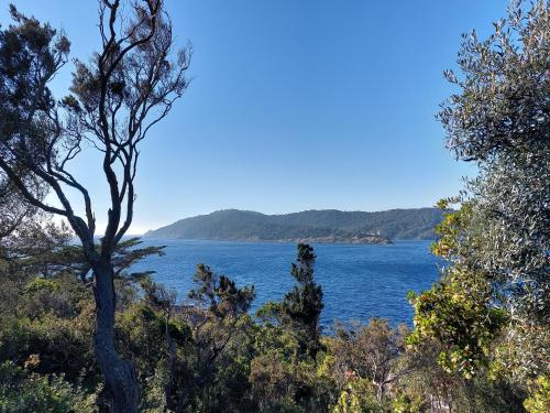 LA TERRASSE DES LAURIERS SUR L'ÎLE DU LEVANT