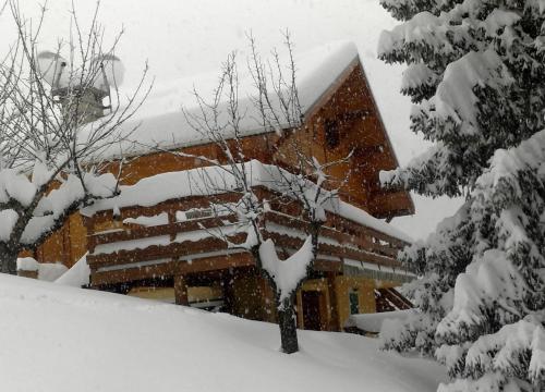 la terrasse