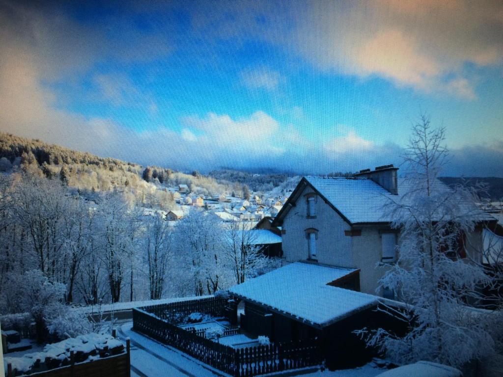 Appartement La trinite 22 Chemin de la Trinite 88400 Gérardmer