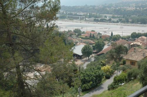 La vigne sous les pins