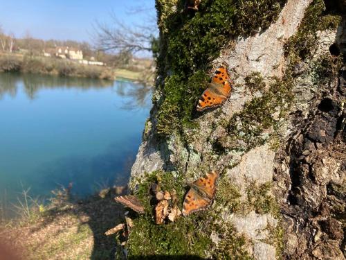 Lac De Lumiere. Relax with rural lakeside living