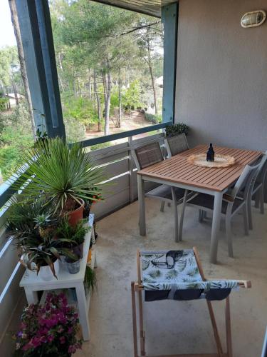 Lacanau-Océan T3 terrasse 50m2 au sein d'un complexe touristique