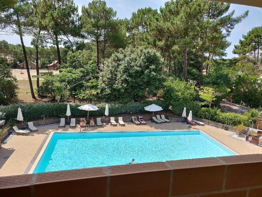 Appartement Lacanau-Océan T3 terrasse 50m2 au sein d'un complexe touristique Route du Baganais, village cheval, appt 697 33680 Lacanau-Océan