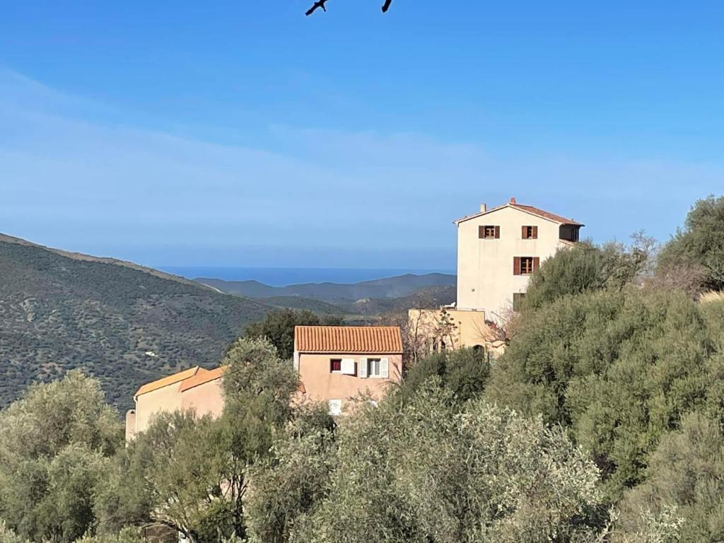 Appartement Lama entre mer et montagne Cortaline 20218 Lama