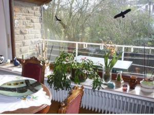 Appartement Land des Friedens in Nettersheim / Eifel 5 Tannenstraße 53947 Nettersheim Rhénanie du Nord - Westphalie