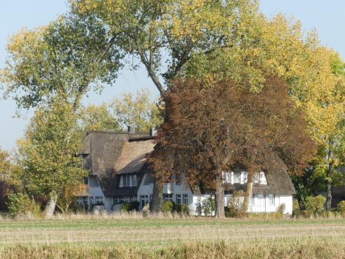 Landhaus am Haff