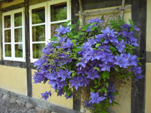 Landhaus Kiesow