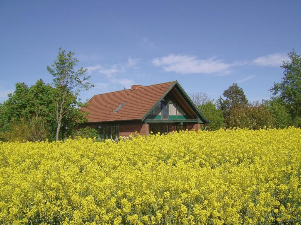 Appartement Landhaus mit Weitblick Stinkbüdelsbarg 15 24363 Holtsee