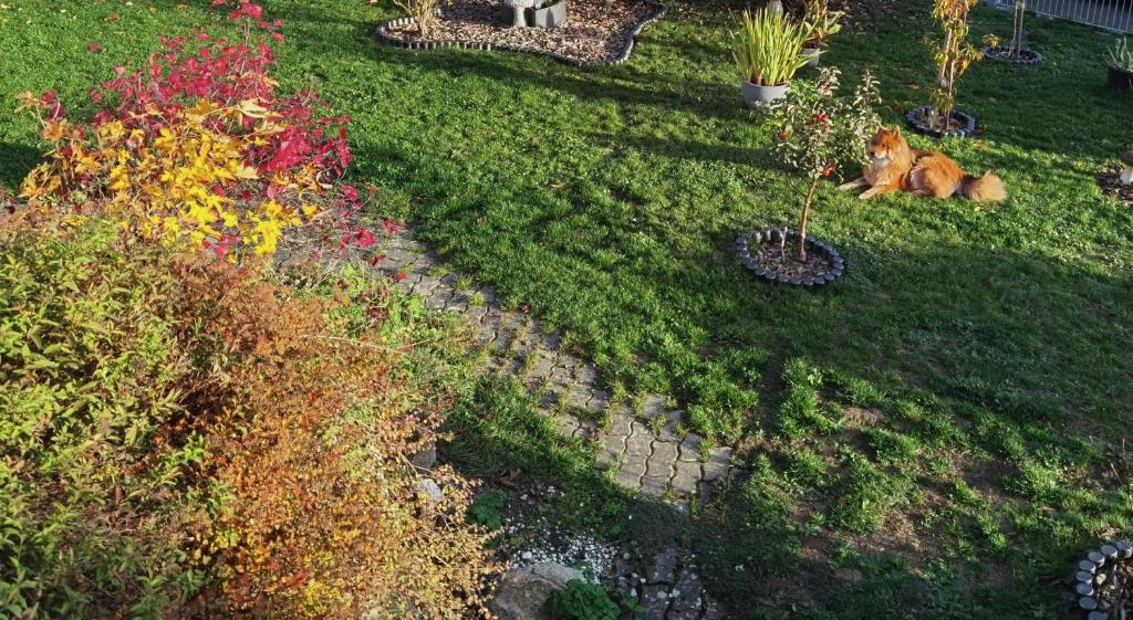 Ländliche Idylle in Hochfranken 1 Schwalbenweg, 95194 Regnitzlosau