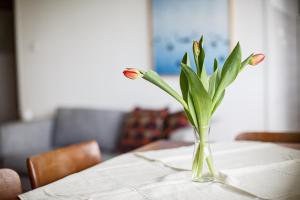 Langeneß Whg7 Seeperle