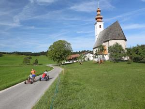 Appartement Lapperhof Tettelham 3 83329 Waging am See Bavière