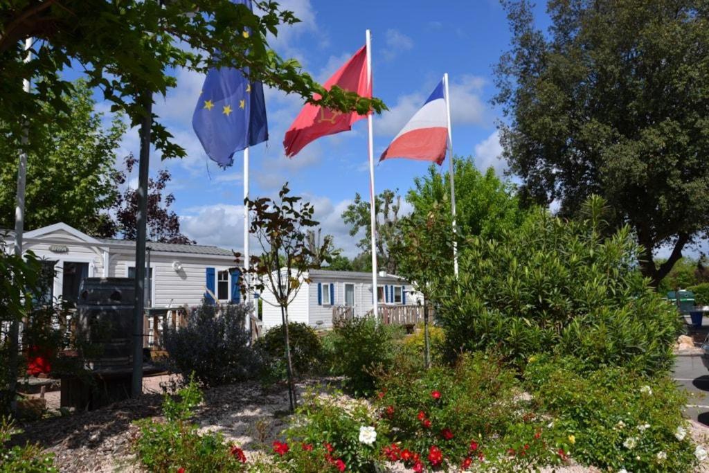 Large 3 rooms apartment with south facing terrace - BENAKEY
