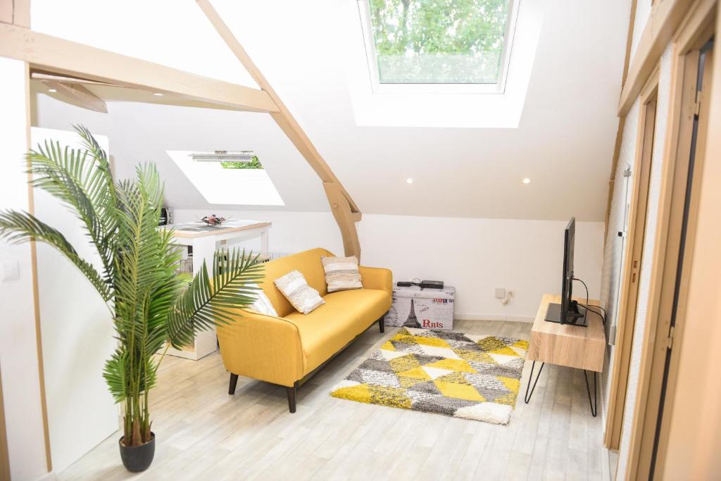 Large and beautiful appartement in the hyper-centre