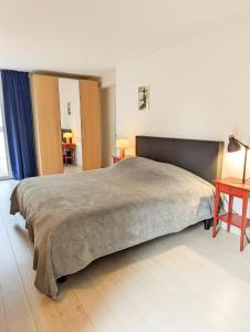 Large apartment close to Airbus and Toulouse-Blagnac airport