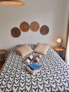 Large apartment near the beaches of Mourillon