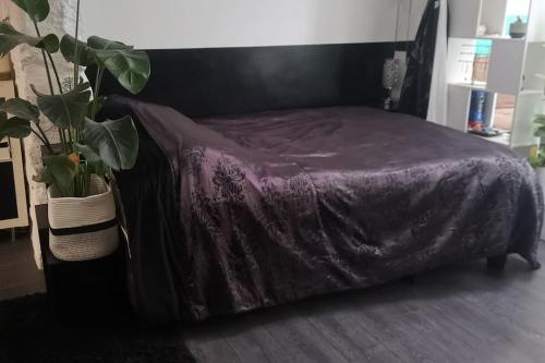 Large atypical & quaint studio