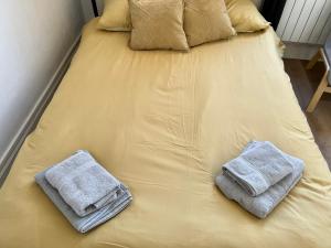*Lasuite #2 YELLOW*