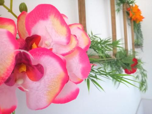 Le 1965 Double BALNEO, confort et romantique