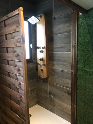 Le 21 TER SPA option