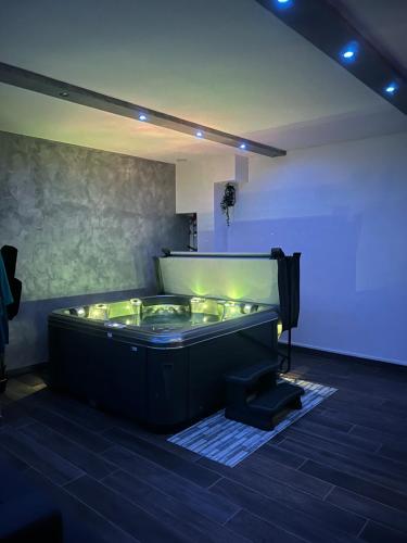 LE 46 : Superbe appartement jacuzzi