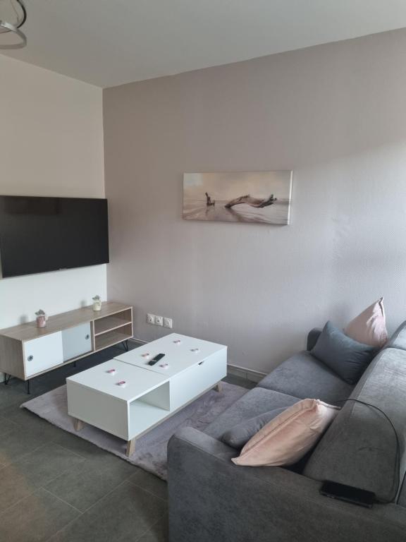 Le 48-GregIMMO-Appart'Hôtel 25200 Montbéliard