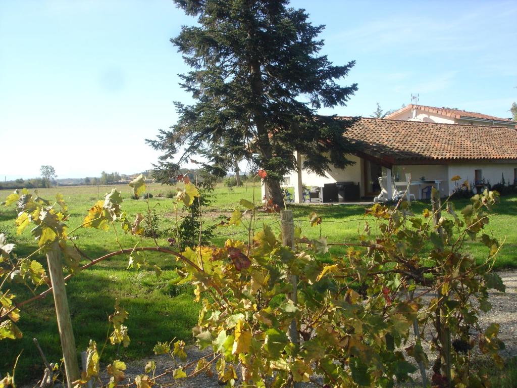 Le 6T Gastro Dijon