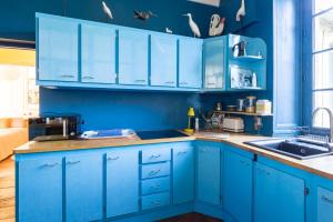 Le Ara Bleu - Bel appartement de caractère