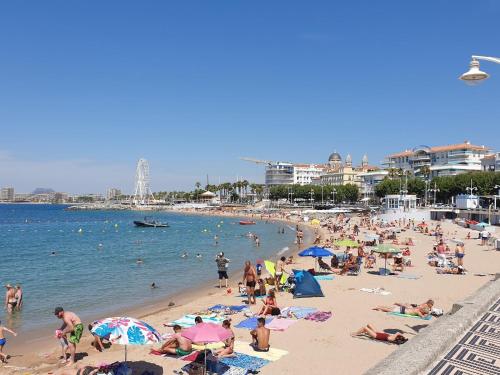 Le Belvédère du Vieux Port, hyper-centre, emplacement et vue mer exceptionnels