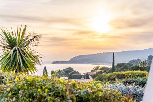 Le Bèu Bèu par Dodo à Cassis