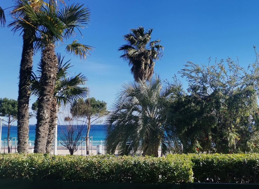 Le Bleu Paradis, rez-de-jardin en front de mer 40 Boulevard du Midi Louise Moreau, 06150 Cannes