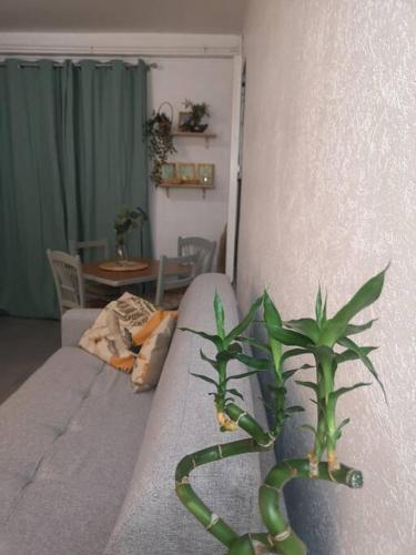 Le BOHEMIEN_5' Gare_Cosy appartement au Centre ville