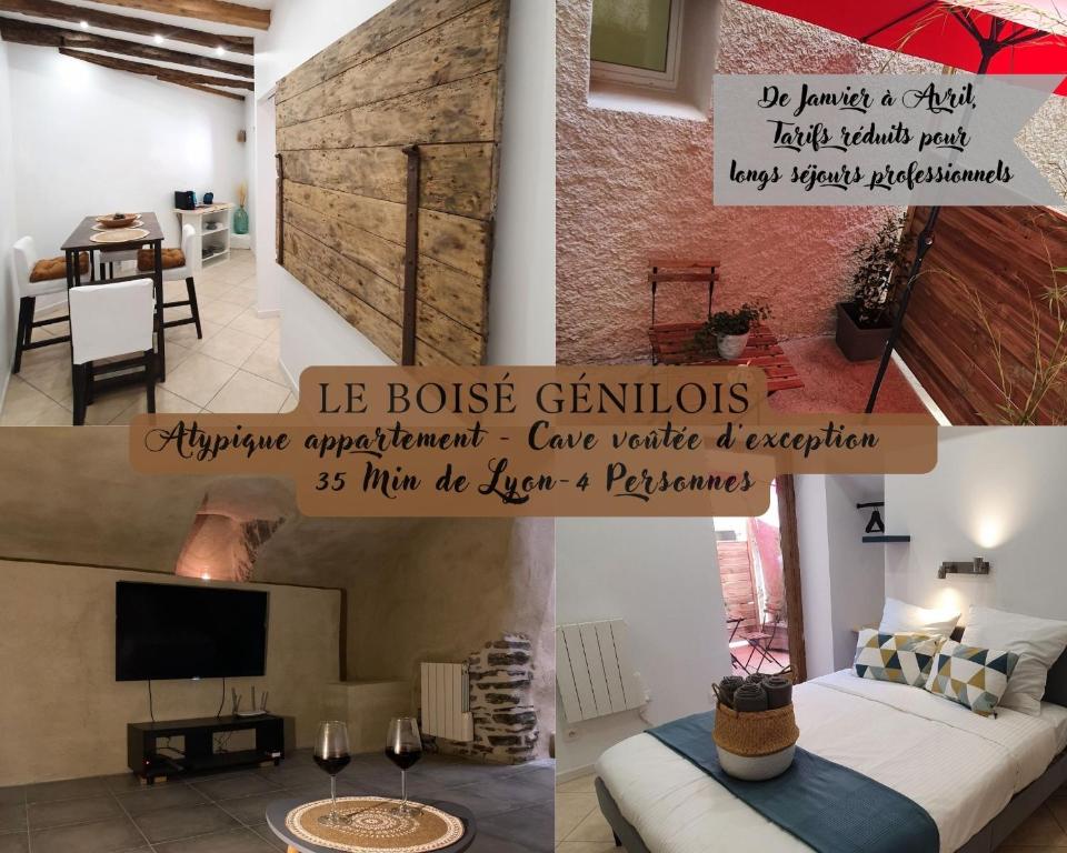 LE BOISÉ GÉNILOIS- Campagne-Chic-Climatisé 57 Rue de l'Église, 42800 Genilac