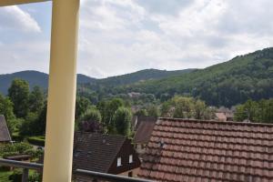 Appartement Le brin d'osier 24 Rue du Schossrain 68240 Kaysersberg Alsace