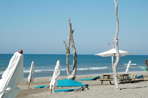 LE CALIFORNIE Made in Camargue à deux pas de la plage