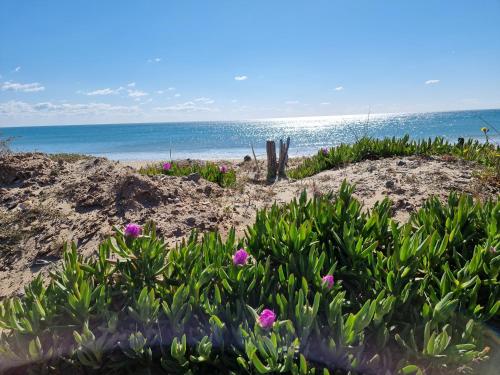 Le Cap d'Agde Grand T2 de standing avec box Village NATURISTE