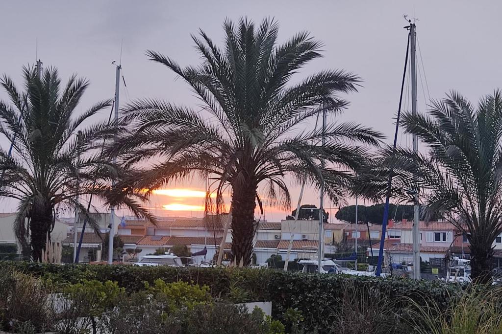 Le Cap Marina 2 Rue du Trésor Royal, 34300 Le Cap d\'Agde