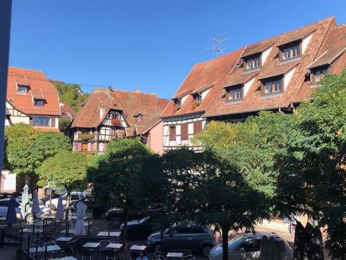 Le Carrousel - Appartement cosy centre Obernai